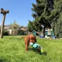 Und ist schon sehr selbstbewusst im Garten unterwegs