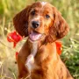 So ein geniales Bild von Bavarian Wilma