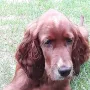 Balou 3 Monate alt