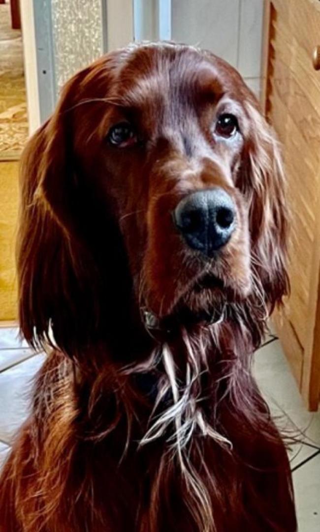 Balin 2 Jahre