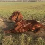 Balin wir in ein paar Tagen 1 Jahr alt