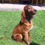 Brian 3 Monate zu Besuch bei den Gebirgsjägern