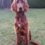 Cooper mittlerweile 5,5 Monate