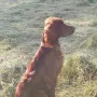 Cooper 13 Monate