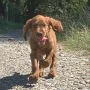 Cean Louis treibt sein Unwesen bei Kathleen und Björn in Buggingen