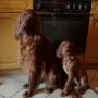 Cosima mit ihrer besten Freundin Xara Zwoa