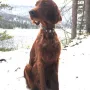 Cora 1,5 Jahre
