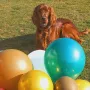 Djego 2 Jahre jung 