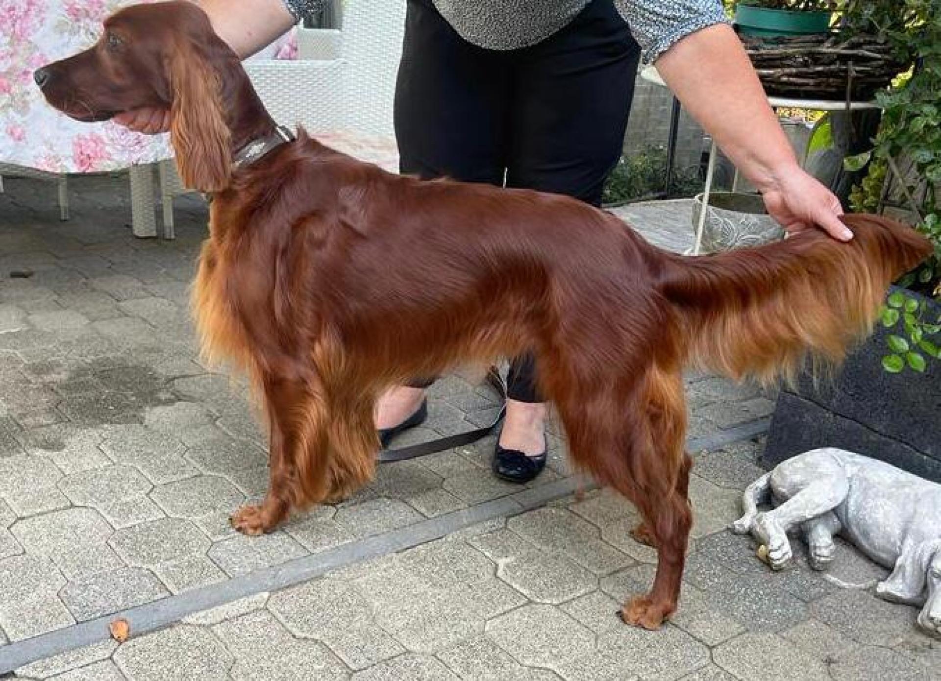 Daytona frisch vom Friseur