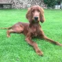 Dora-Jean 6,5 Monate