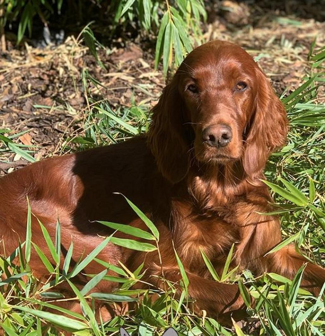 Eliza 1 Jahr jung