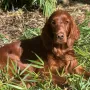 Eliza 1 Jahr jung