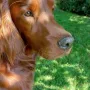 Earl Edward, hübscher Bub 