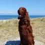 Im Urlaub