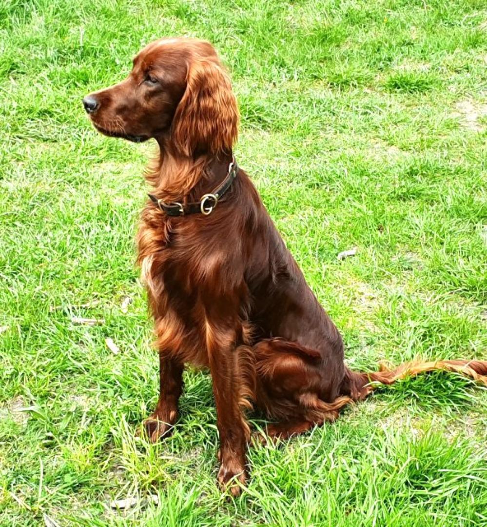 Erko 1 Jahr jung
