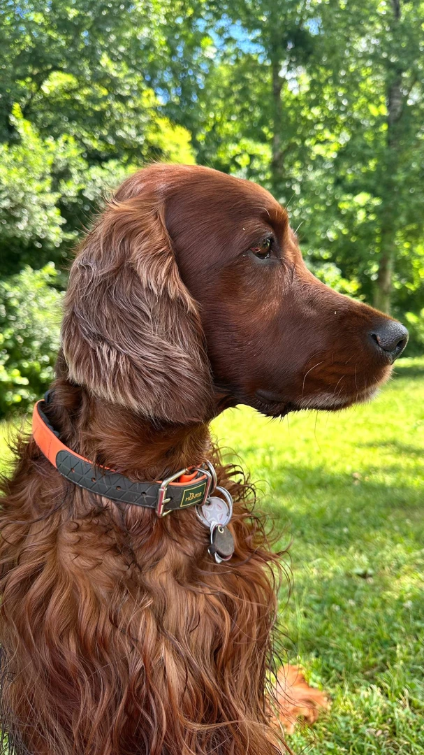 Erko im englischen Garten