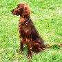 Erko 1 Jahr jung