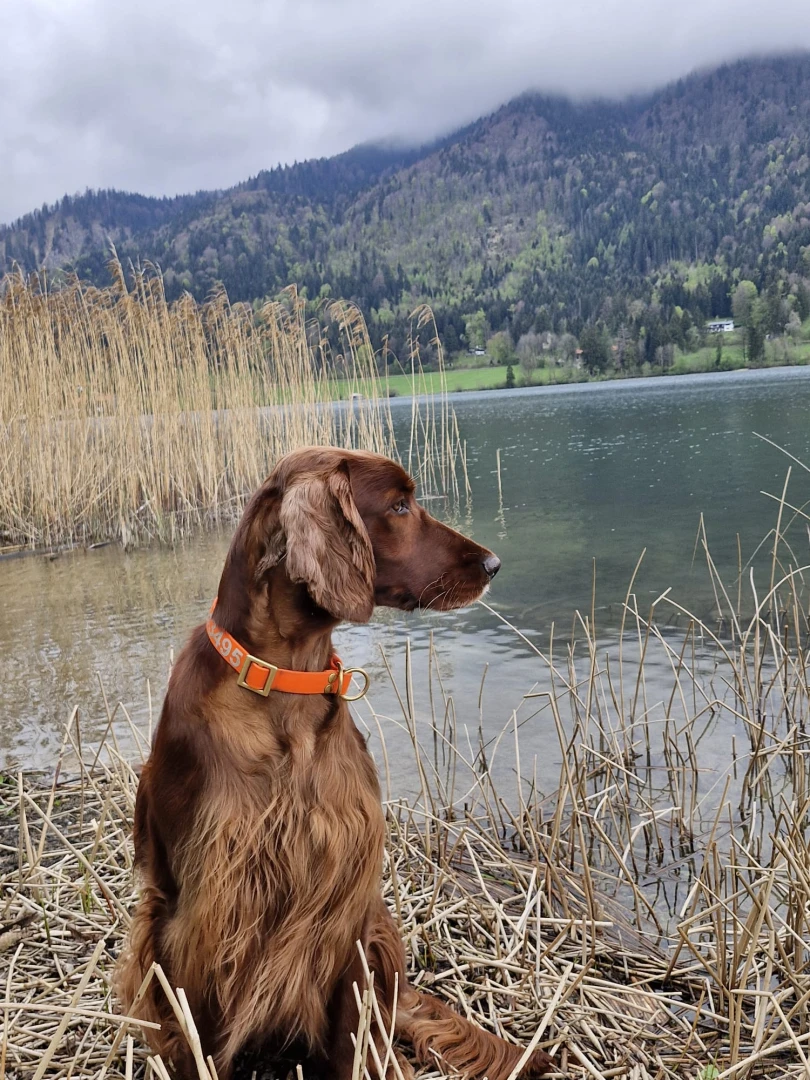 Frau Leitner am Schliersee
