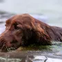 Frau Leitner beim Wassertraining