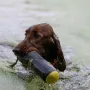 Wassertraining, Frau Leitner 7 Monate