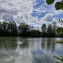 meine treue Jagdbegleiterin