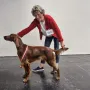 Frau Leitner gewinnt an der IHA Wels 2024 das CACIB