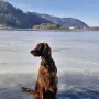 Frau Leitner wieder auf Eis am Schliersee