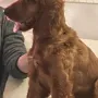 George Louis wohnt in München bei Maik und Dirk und natürlich Vinz Louis 