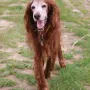 Briska 14 Jahre