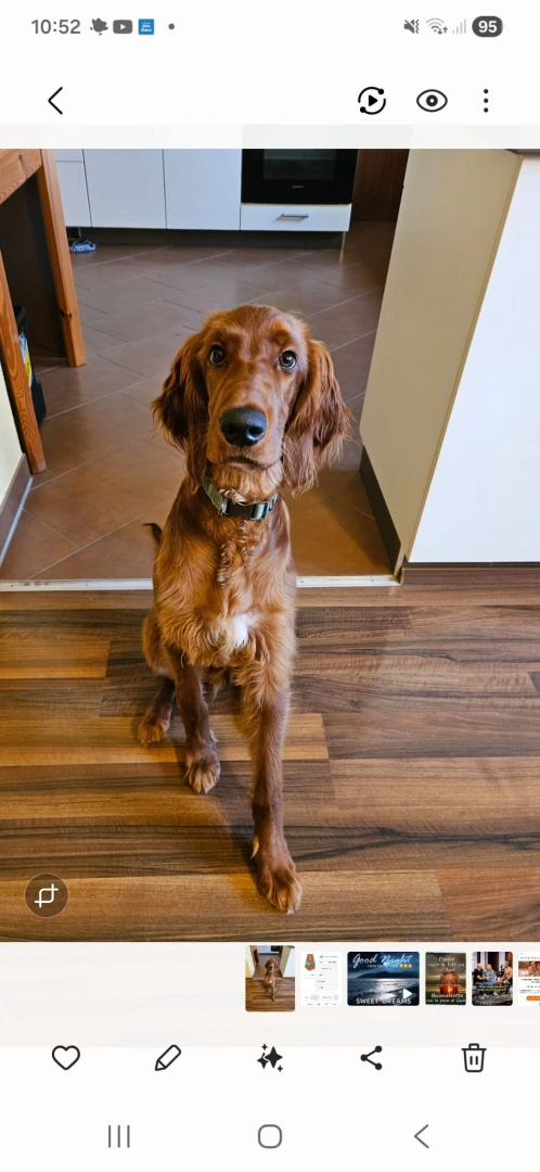 Jesse James wohnt bei Christa und Engelbert in Lauterhofen