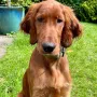 Juniper jetzt 5 Monate jung