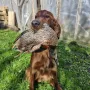 Jay schon fleißig beim Wildapport