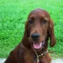 Bea wohnt jetzt in Pforzen/Allgäu bei  Regina und Günther 