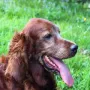 Bea mit 9 Jahren topfit