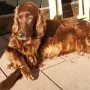 Und Brenda tankt noch Sonne 