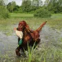 Monty