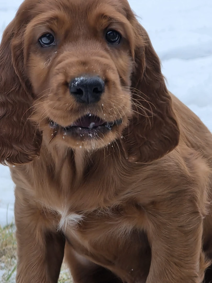 Bilder aus dem neuen Zuhause