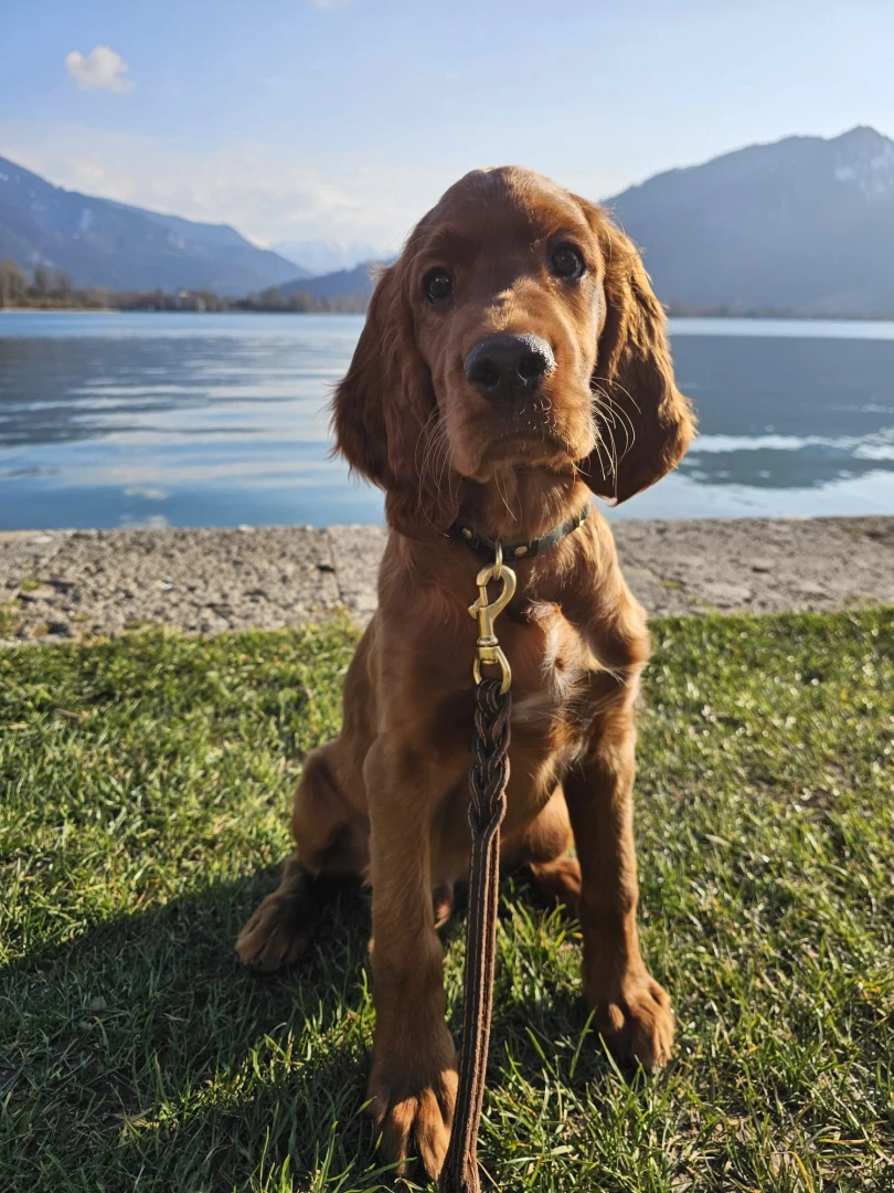 Karl Keks schon sehr fotogen