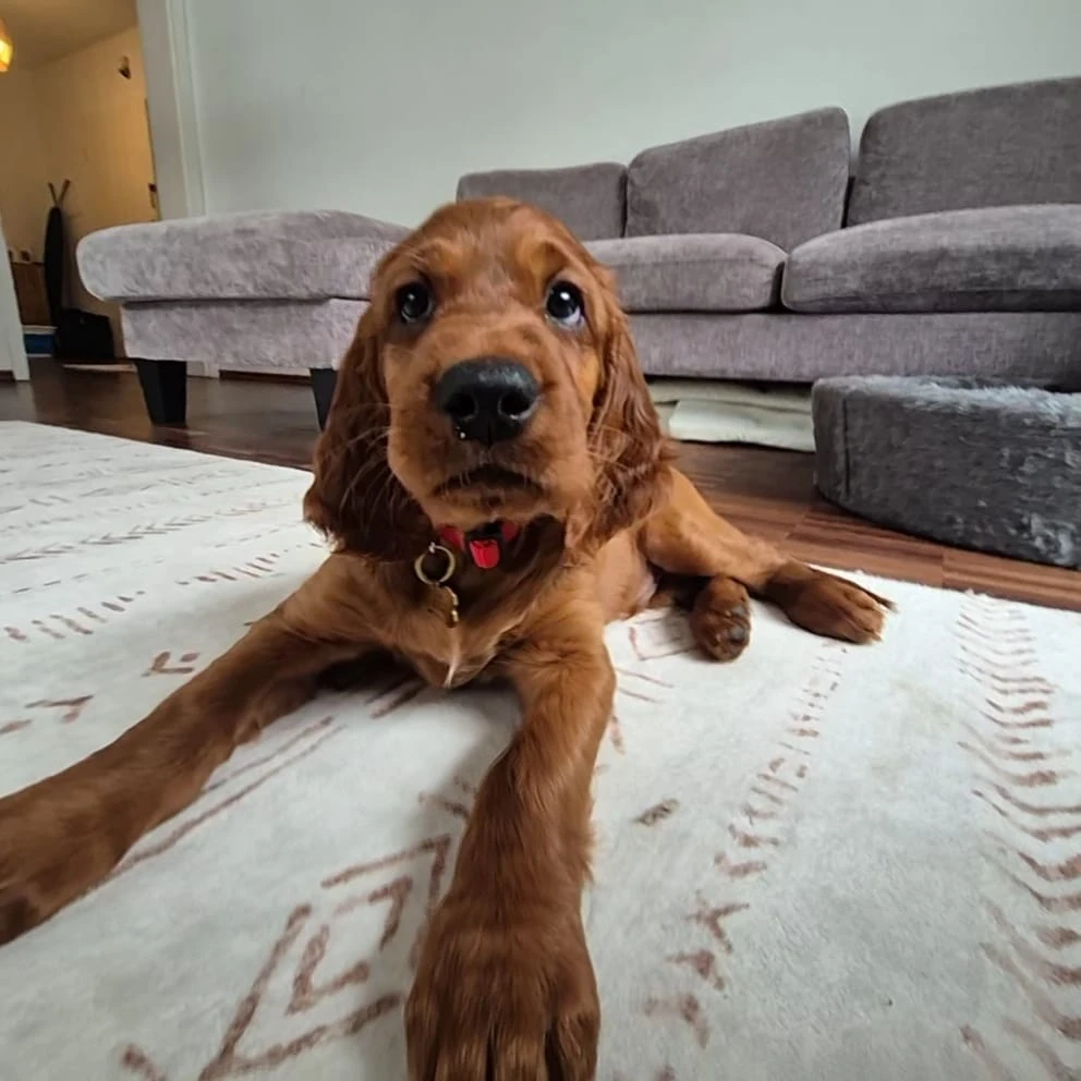 Das 1. Bild im neuen Zuhause