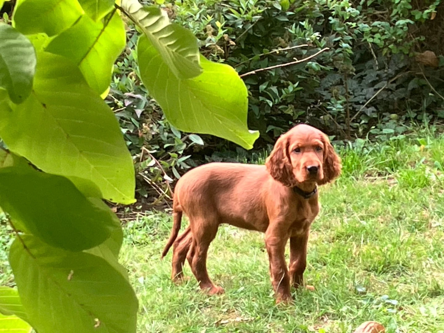 Lillian wohnt bei Dorothea in Neuendettelsau 