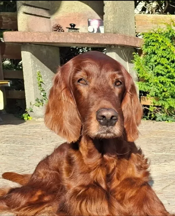 Whisky Kelani_30.jpeg