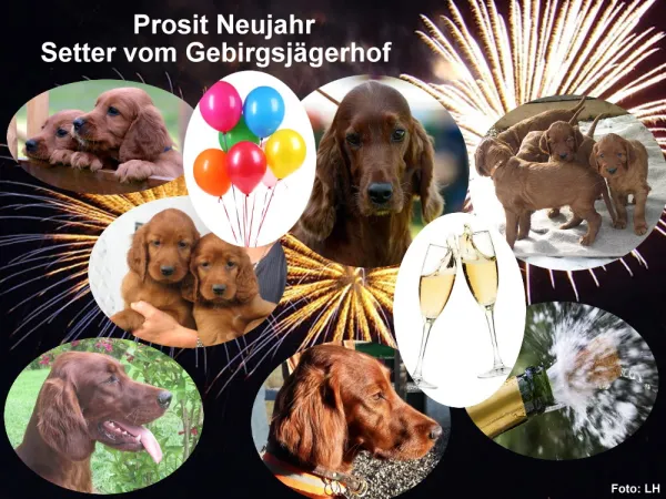 Eingangsbild Silvester 2015.jpg