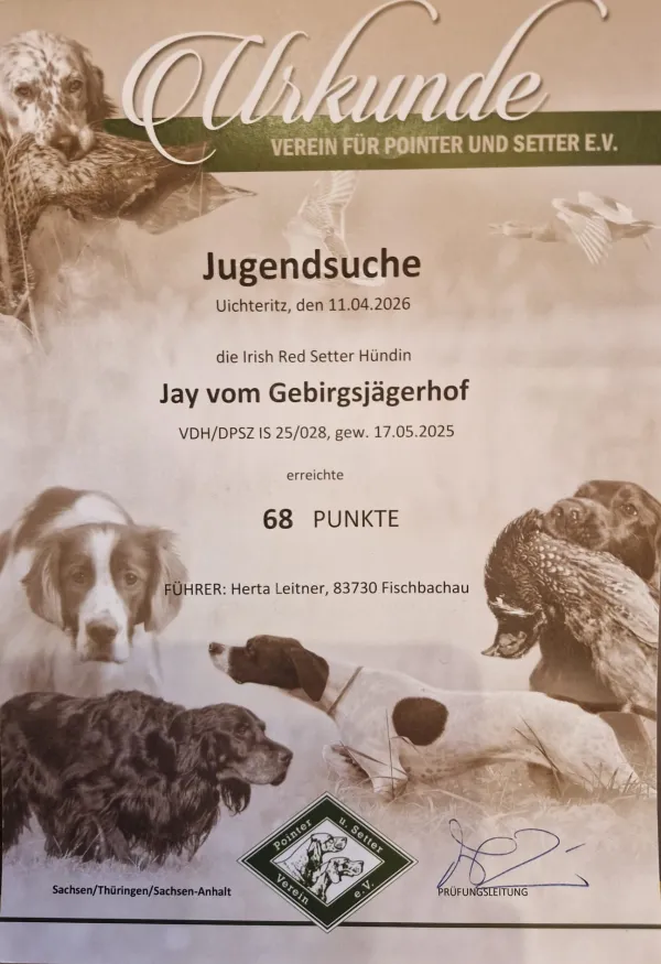 Jugendsuche Urkunde.jpeg