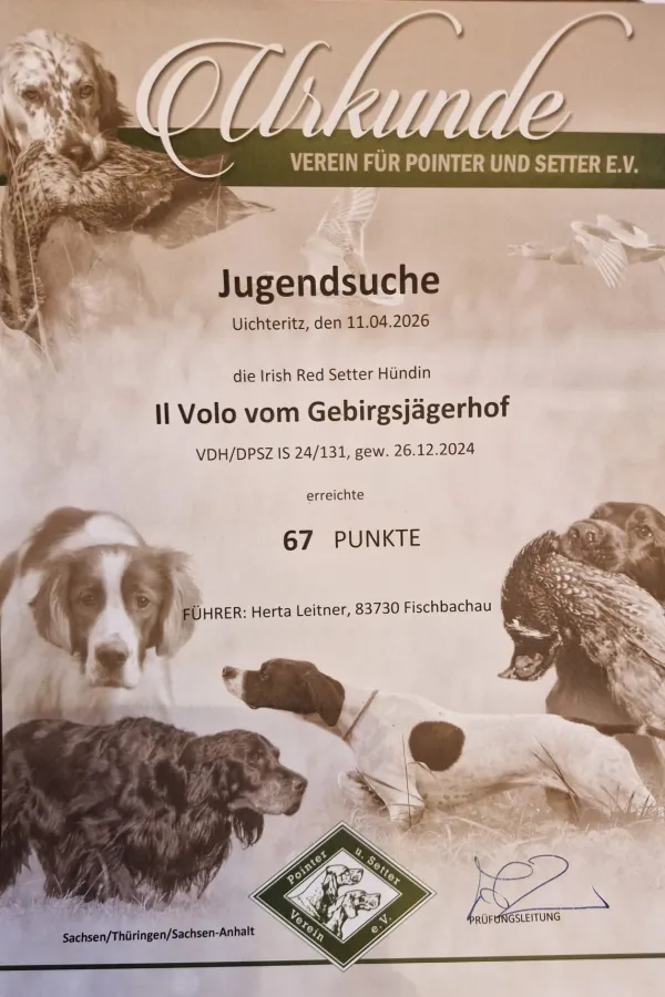 Jugendsuche Urkunde.jpeg