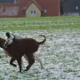 Spaziergang Sonntag