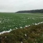 Gelände Sonntag