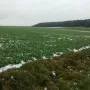 Spaziergang Sonntag
