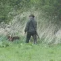 Arbeit an der Hecke