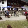 Ansprache