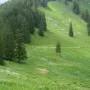 Wanderung zum Suttenstein